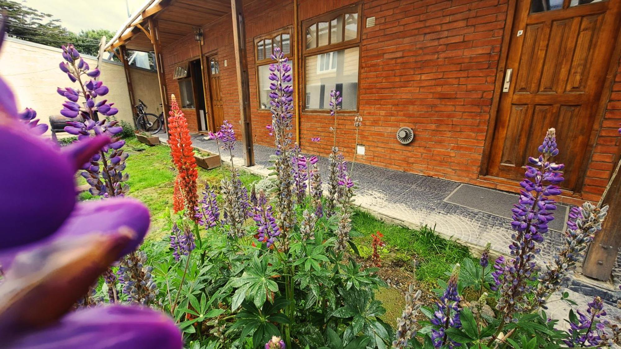 Terrazas Del Sur Apartment Ushuaia